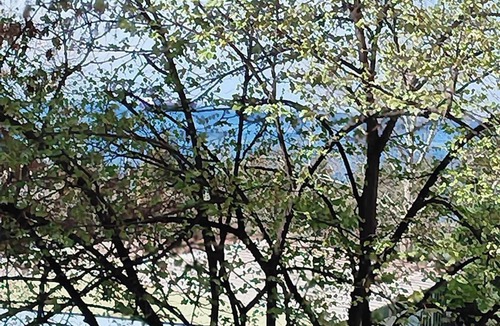 Thessaloniki Apartment | Two Big Waterfront Apartments in same Building