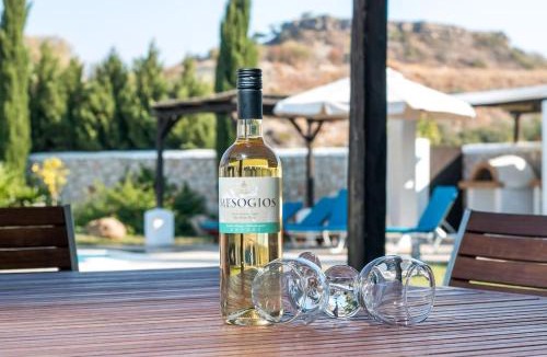 Asgourou Villa | Villa Olympos Ladiko
