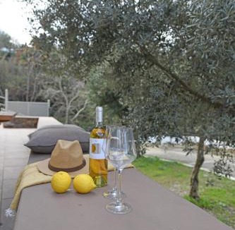 Ikaria House | Villa Sophia