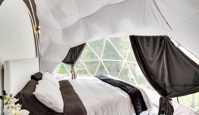 007 Geodome - Unique Escapes "007" Luxury Camping Geo-Dome! in Monticello
