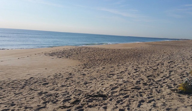 3 BR Salisbury Beach Ocean Front Home in Salisbury