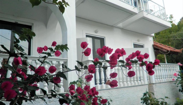 Aktipis Studios