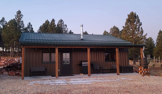 Bison Pines-Peace & Quiet South of Custer on 51 acres. No Cleaning Fee! in Custer