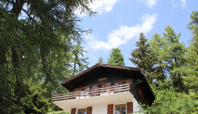 Chalet Soldanella (BEL205) by Interhome in Bellwald