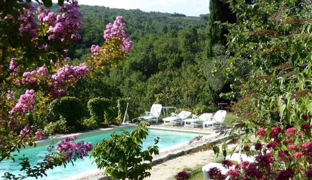 Charming accommodation in a large 16th century building with swimming pool and garden in Vesseaux
