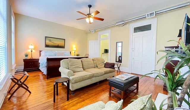 Charming & Inviting Apartment in Historic Downtown Paris, Ky. in PARIS