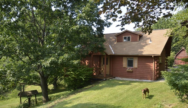 Clean, Fox Chapel Area, 20 Minutes from Downtown Pittsburgh in Pittsburgh