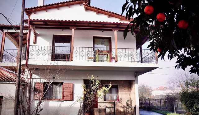 Cosy! Pet-Friendly!35 min to the ski tracks Parnassos and 15 min from the beach!