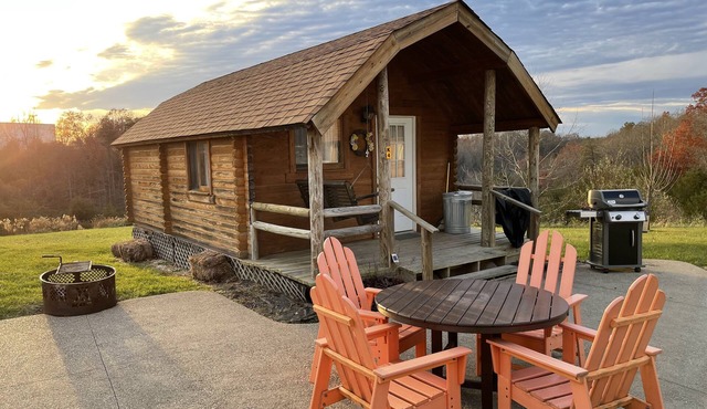 Cozy cabin hideaway with kitchen in Argillite