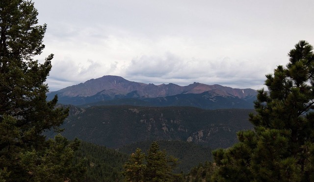 Escape the city and come to this mountain apartment where adventure awaits. in Woodland Park