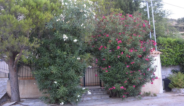KAROLINA'S HOUSE NEAR THE SEA