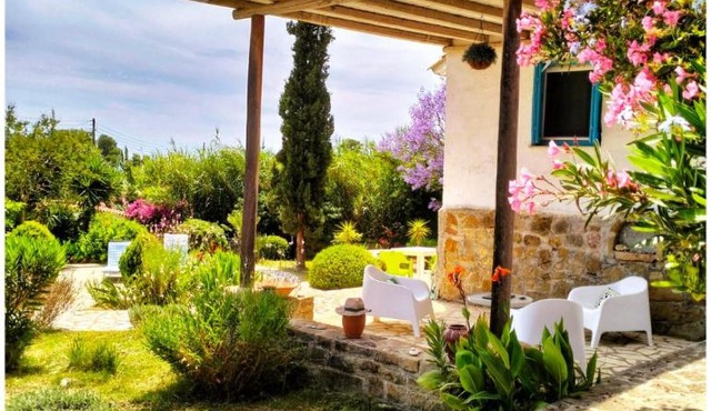 Lemon Tree Cottage