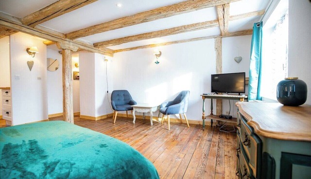 Les Vignes Vacation Rental - Studio - Route des Vins d'Alsace in Dieffenthal
