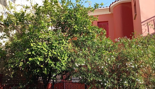 Mariza's house in Pámfylla