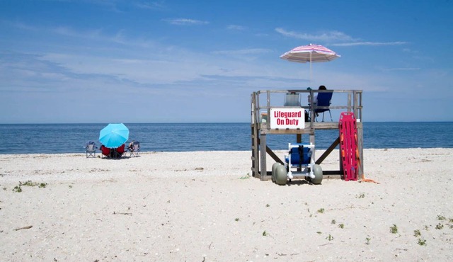 MATTITUCK #1 Winery and Beach Town ! in Mattituck