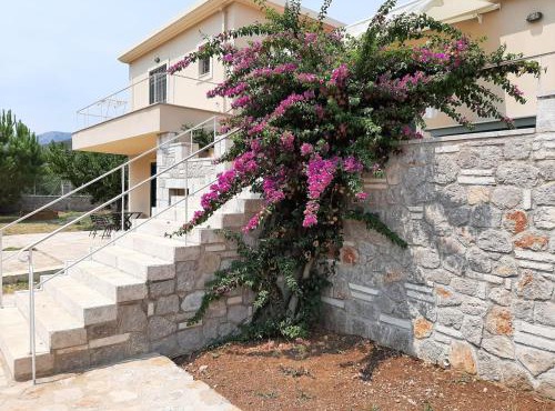 Milo's House