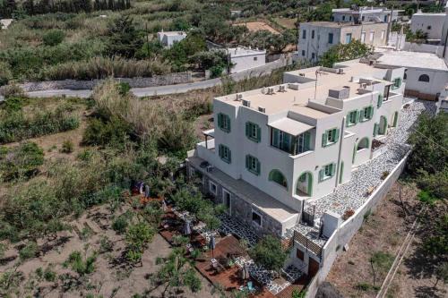 Naxos olive & home