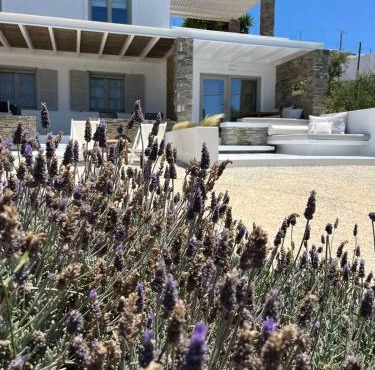 Neso seafront studio Paros