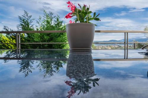 PANORAMA APARTMENT