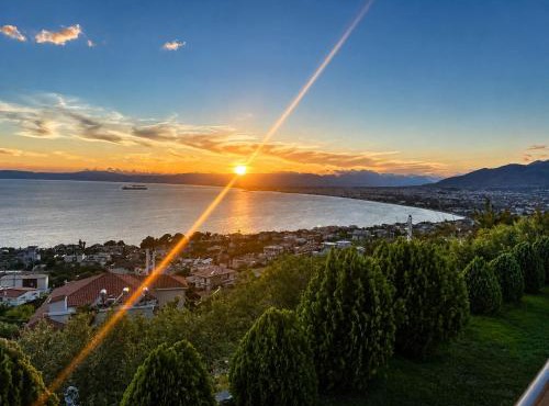 Panorama View