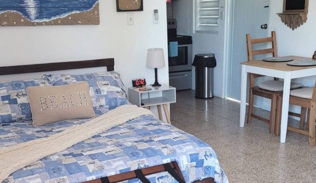Rustic Private Studio in Toa Baja