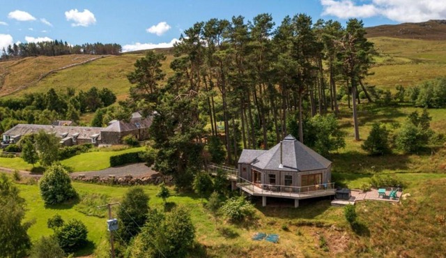 Scots Pine Treehouse in Glenshee