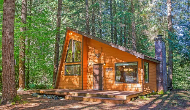 Secluded Greenwater Cabin | Loft | Dogs OK in Enumclaw