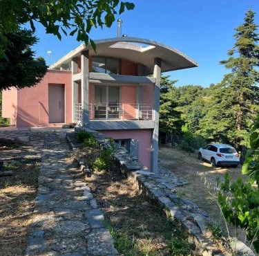 Seta Forest House