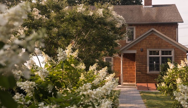 Stylish and Rustic Decor, Vineyard Tours, Tasting Room in Jamesport