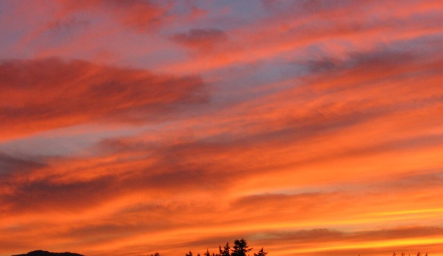 Sylvan Meadows Suite - Amazing Rural Views in the heart of Cowichan Valley in Mill Bay