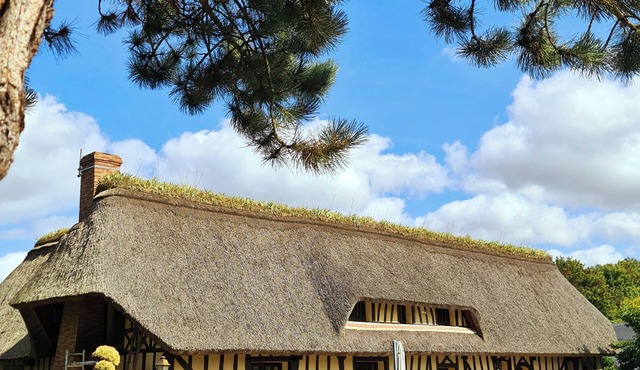Thatched cottage at the anemone pond in Sainte-Hélène-Bondeville