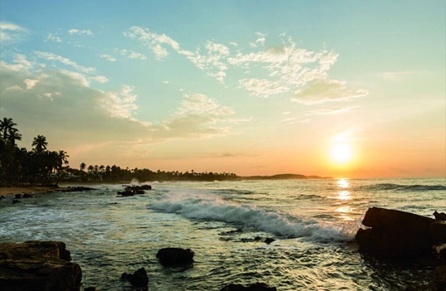 Dorado Beach East 
