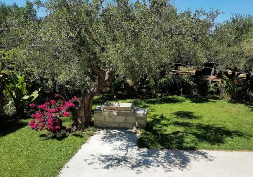 Drapanias House | Elia Guesthouse - Kissamos