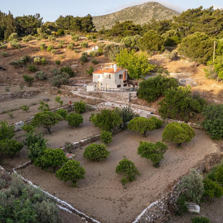 Samos House | Mulberry Cottage