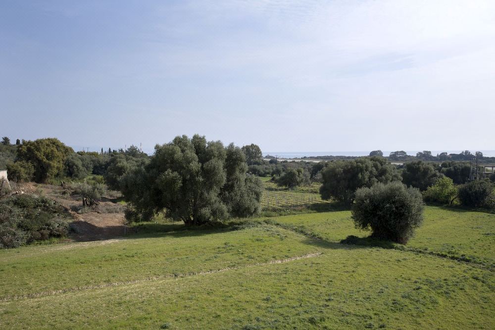 Photo of Others in Eleios-Pronnoi