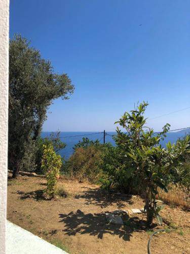Photo of Others in Evdilos