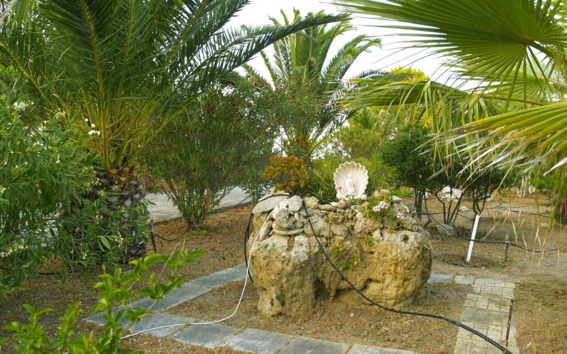 Photo of Others in Kounopetra