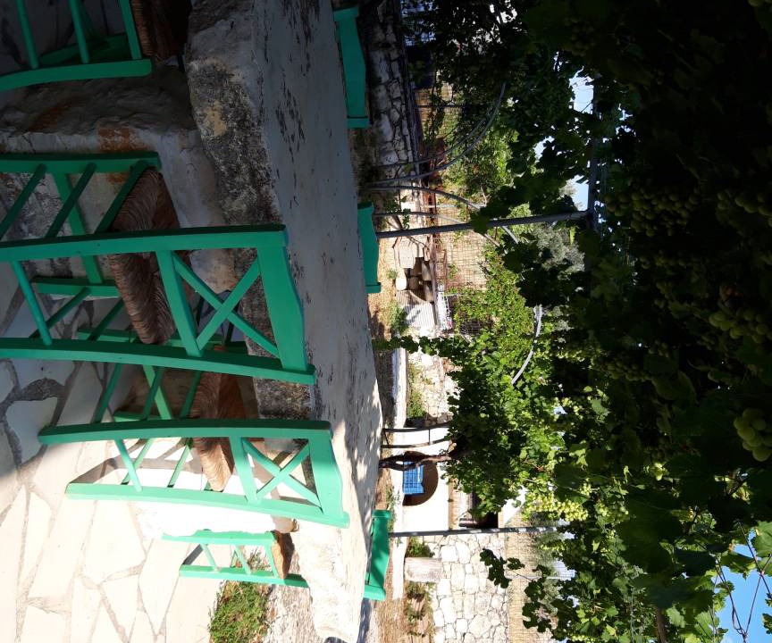 Photo of Others in Margarites