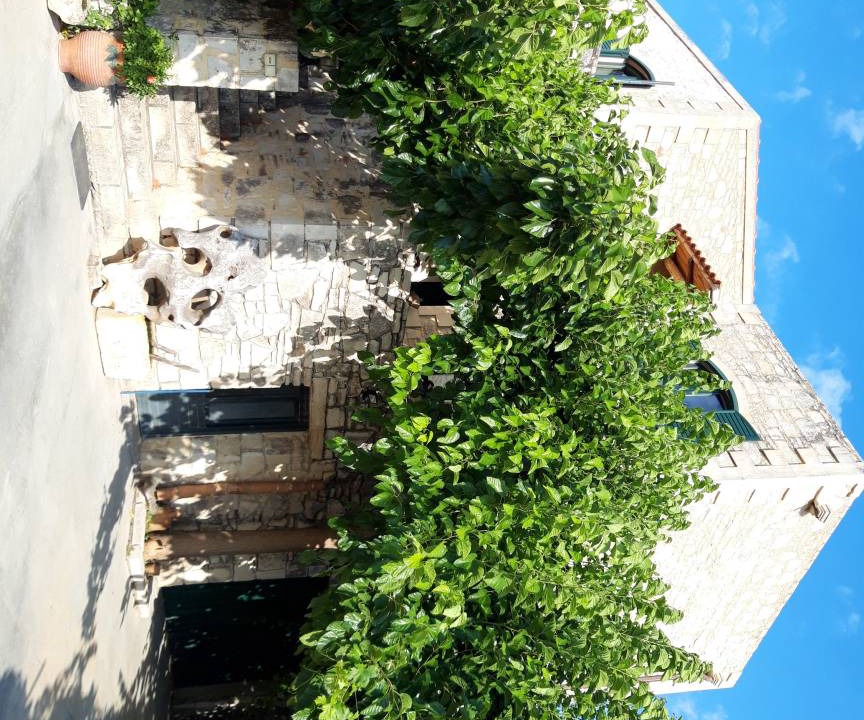 Photo of Others in Margarites