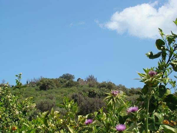 Photo of Others in Palaia Epidavros