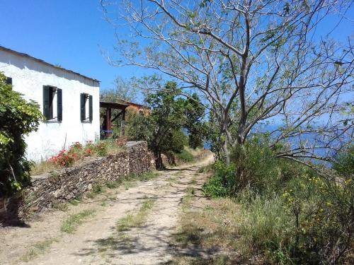 Photo of Others in Ikaria