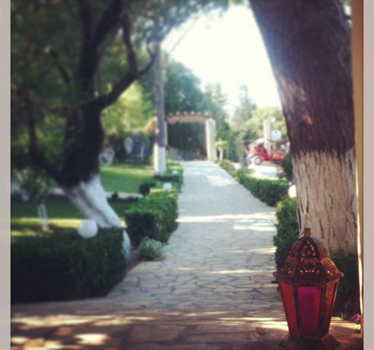 Photo of Others in Afionas