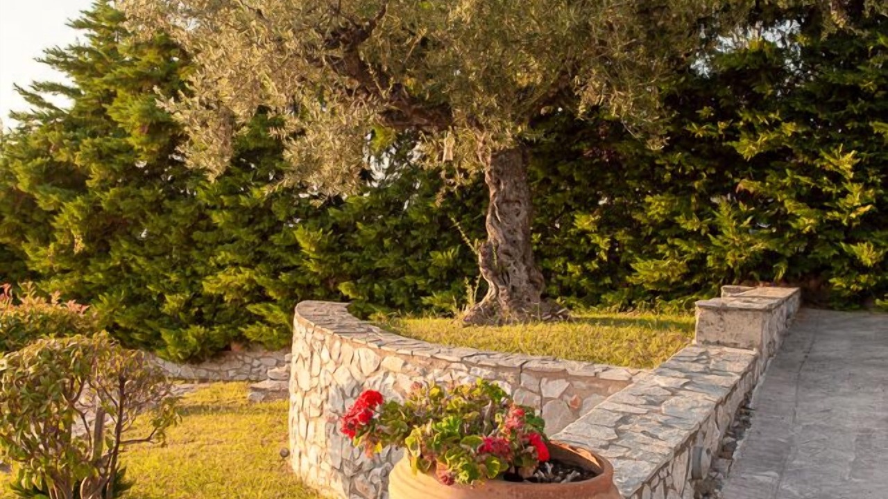 Photo of Outdoor in Diasella