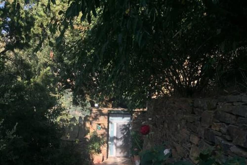 Photo of Others in Ikaria