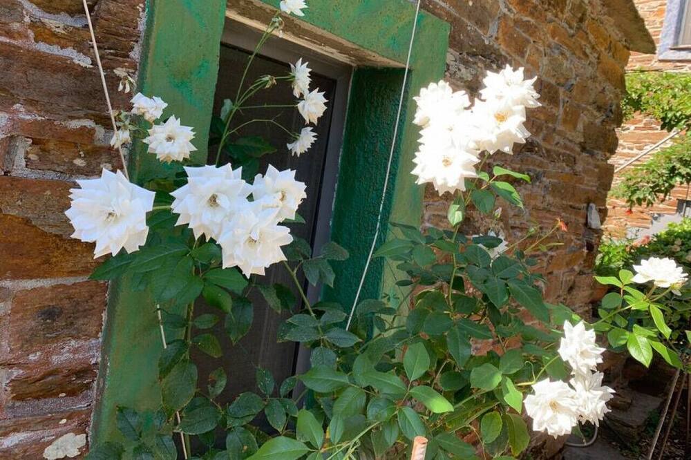 Photo of Others in Ikaria