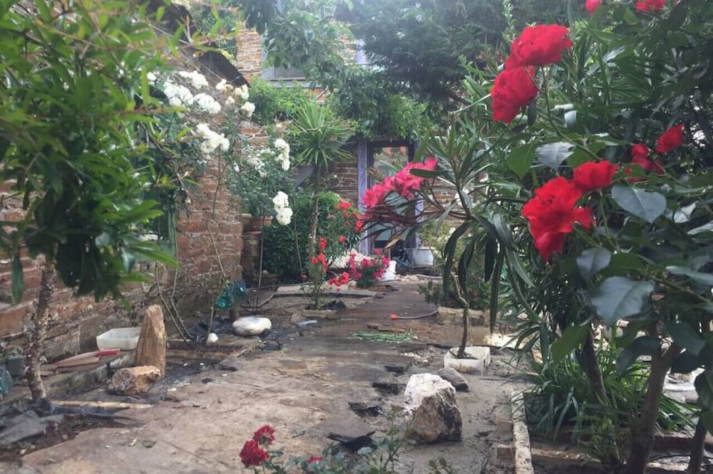 Photo of Others in Ikaria