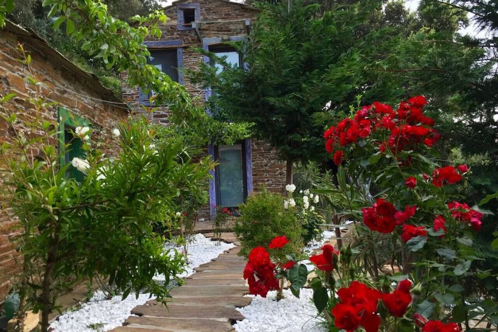 Photo of Others in Ikaria