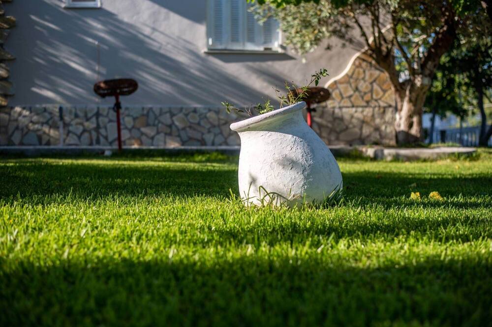 Photo of Outdoor in Spartia
