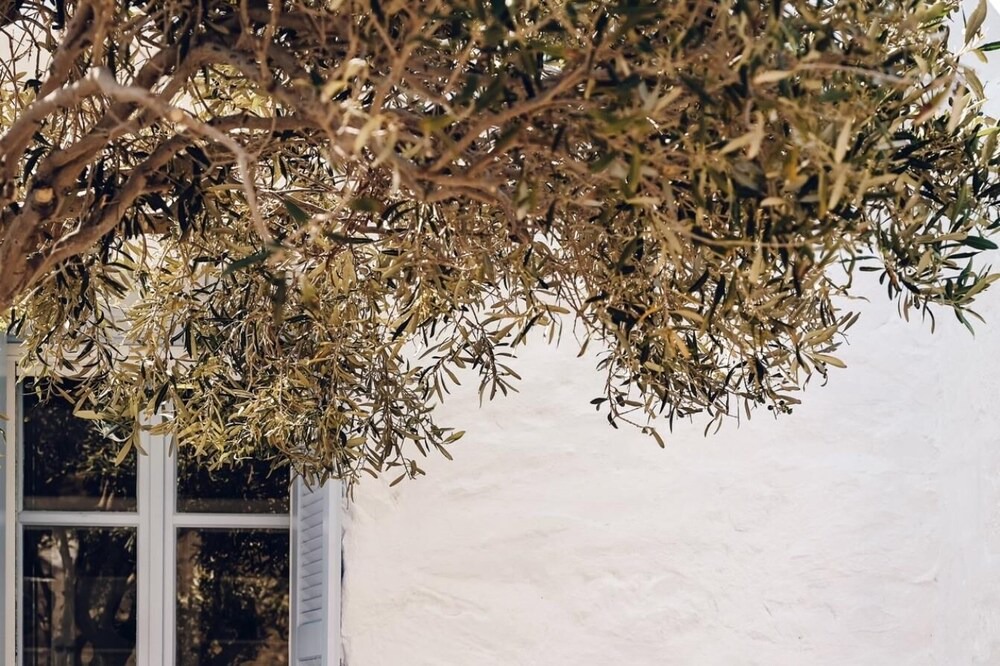 Photo of Patio Balcony in Serifos