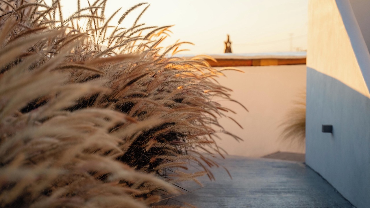 Photo of Outdoor in Akrotiri